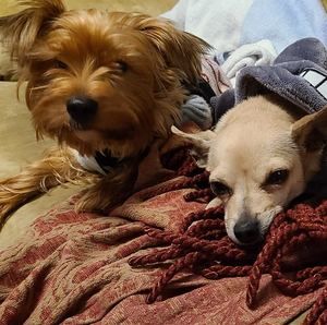 Meet your Posher, Cheryl